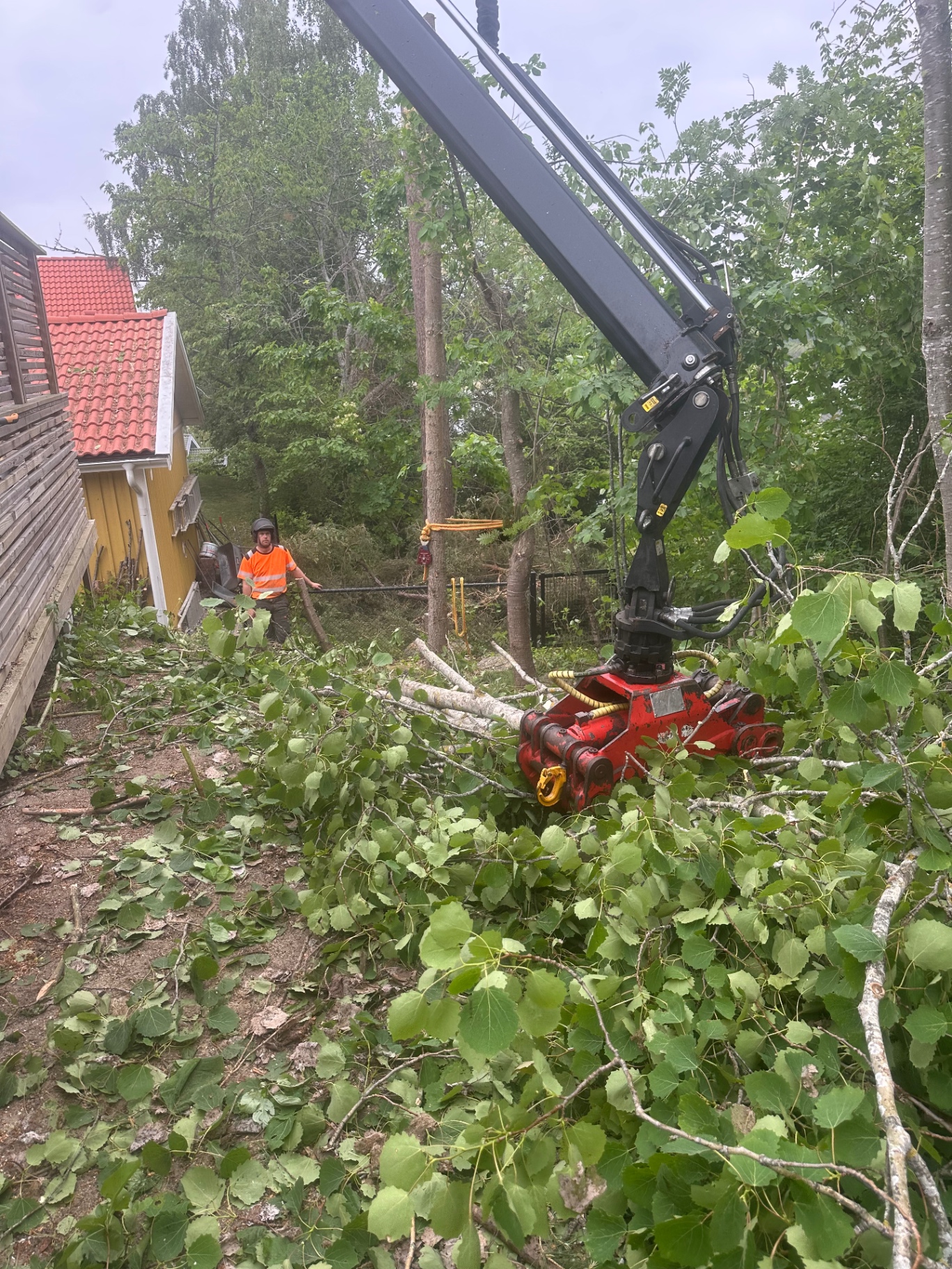 Trädfällning med kranbil på villatomt i Hägersten, Stockholm